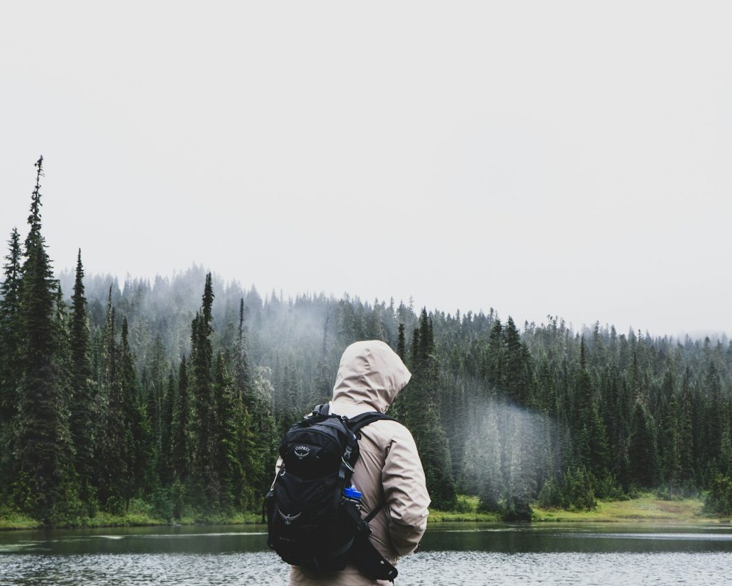 man standing near pine trees