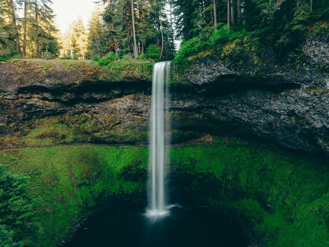 a waterfall in the middle of a lush green forest